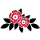 UCLan